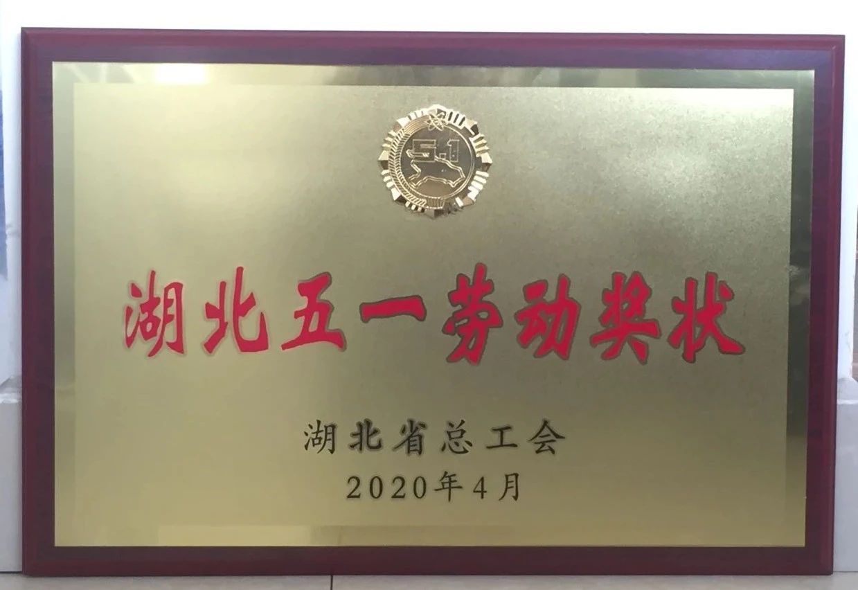 喜讯||半岛(中国)重工又获省级殊荣
